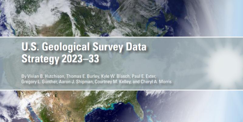 Click here to visit the Data Strategy Pubication I co-authored